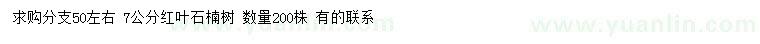 求購7公分紅葉石楠