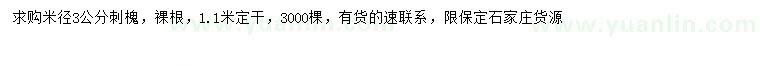 求購米徑3公分刺槐