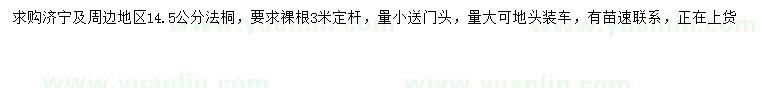 求購(gòu)14.5公分法桐