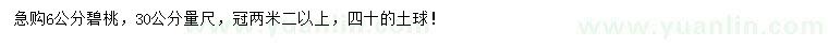 求購(gòu)30量6公分碧桃