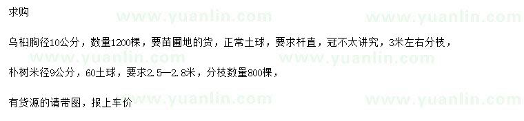 求購胸徑10公分烏桕、米徑9公分樸樹