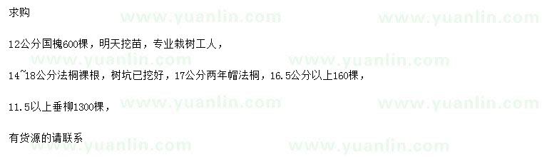 求購(gòu)國(guó)槐、法桐、垂柳