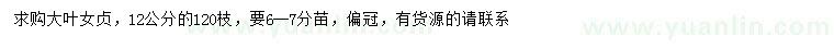 求購12公分大葉女貞