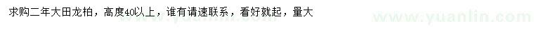 求購高40公分以上龍柏