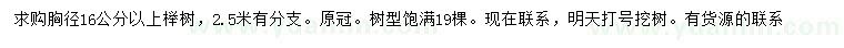 求購胸徑16公分以上櫸樹