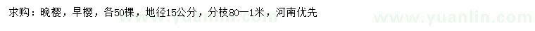 求購地徑15公分晚櫻、早櫻