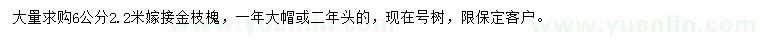 求購6公分金枝槐