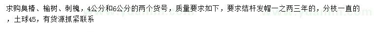 求購(gòu)臭椿、榆樹、刺槐