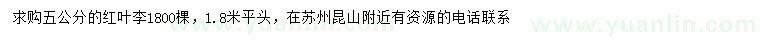求購5公分紅葉李