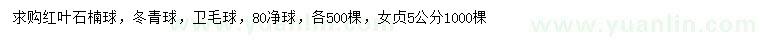 求購紅葉石楠球、冬青球、衛(wèi)矛球等