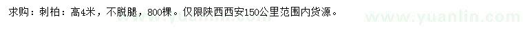 求購(gòu)4米刺柏