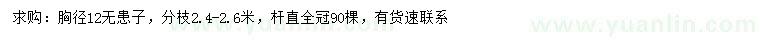 求購胸徑12公分無患子