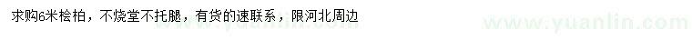 求購(gòu)6米檜柏