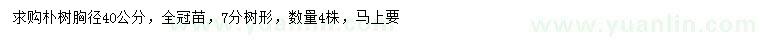 求購(gòu)胸徑40公分樸樹