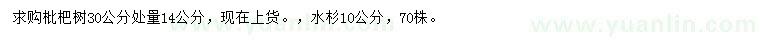 求購30量14公分枇杷樹、10公分水杉