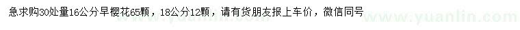 求購30量16、18公分早櫻