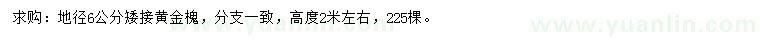 求購地徑6公分黃金槐