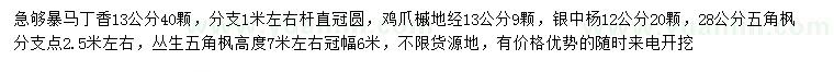 求購(gòu)暴馬丁香、雞爪槭、銀中楊等