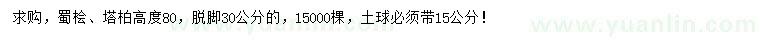 求購高80公分蜀檜、塔柏		