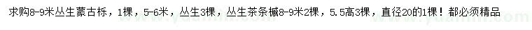 求購5-6、8-9米叢生蒙古櫟、高5.5、8-9米叢生茶條槭、20公分叢生茶條槭