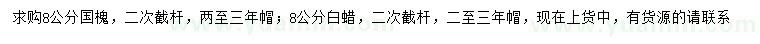 求購8公分國槐、白蠟