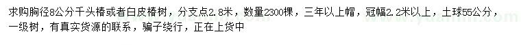 求購8公分千頭椿、白皮椿