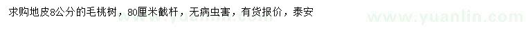 求購8公分毛桃樹
