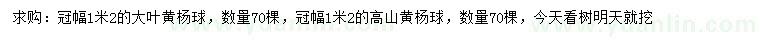 求購(gòu)冠幅1.2米大葉黃楊球、高山黃楊球