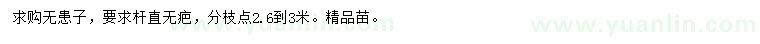 求購分枝點2.6-3米無患子