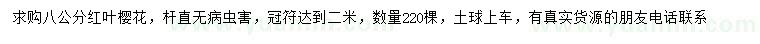求購8公分紅葉櫻花