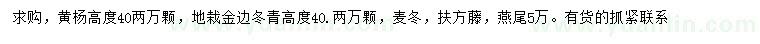 求購黃楊、金邊冬青、麥冬等