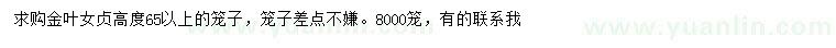 求購(gòu)高65公分以上金葉女貞