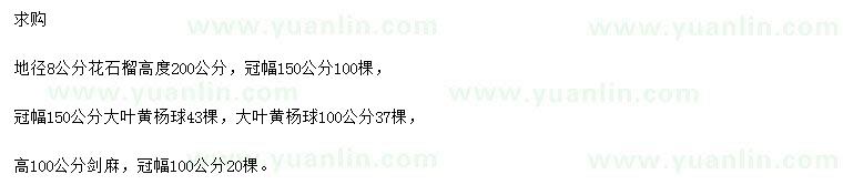 求購花石榴、大葉黃楊球、劍麻