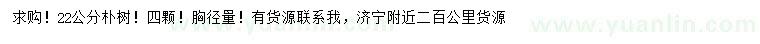 求購(gòu)胸徑22公分樸樹(shù)
