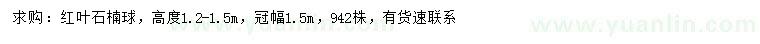 求購冠幅1.5米紅葉石楠球
