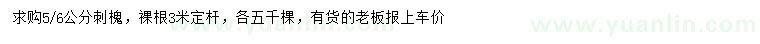 求購(gòu)5、6公分刺槐