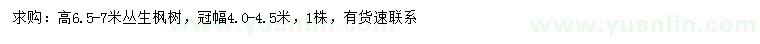 求購高6.5-7米叢生楓樹
