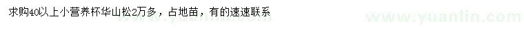 求購(gòu)40公分以上華山松