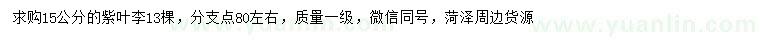 求購(gòu)15公分紫葉李