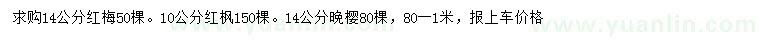 求購紅梅、紅楓、晚櫻