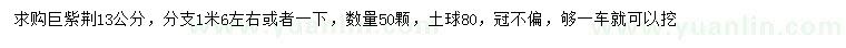 求購13公分巨紫荊