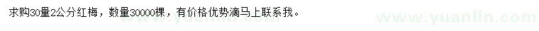 求購30量2公分紅梅