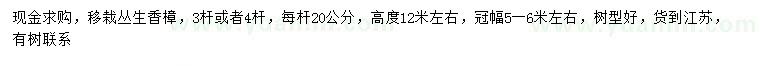 求購高12米左右叢生香樟