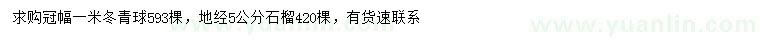 求購冠幅1米冬青球、地徑5公分石榴樹