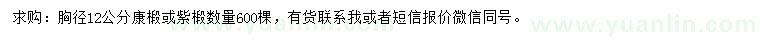 求購胸徑12公分康椴、紫椴