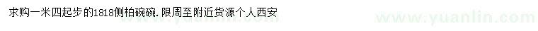 求購1.4米以上側(cè)柏
