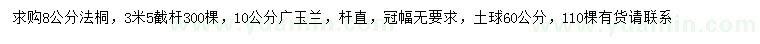 求購8公分法桐、10公分廣玉蘭