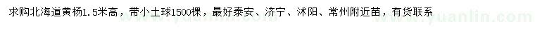 求購高1.5米北海道黃楊