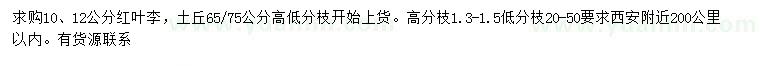 求購10、12公分紅葉李