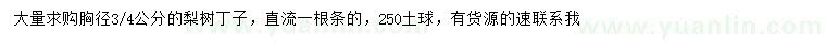 求購(gòu)胸徑3、4公分梨樹